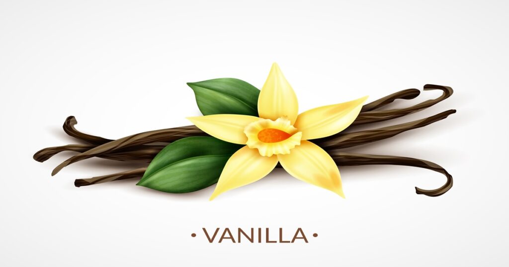 What is Vanilla Flavour?